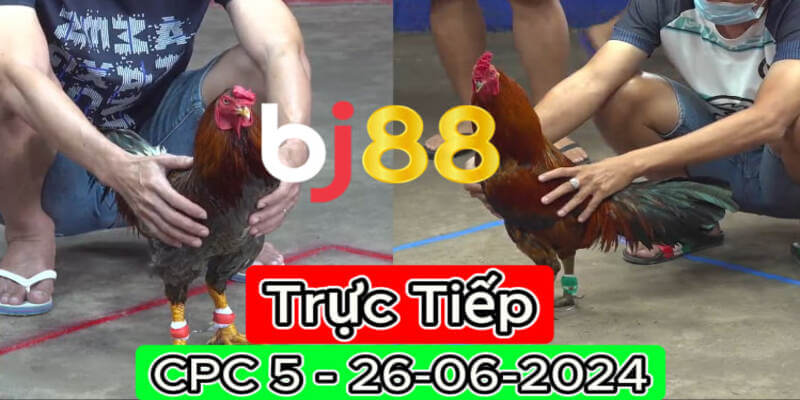 Đá gà trực tiếp BJ88 là sảnh game cá cược thu hút